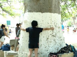 267972_10150256141399901_2953925_n